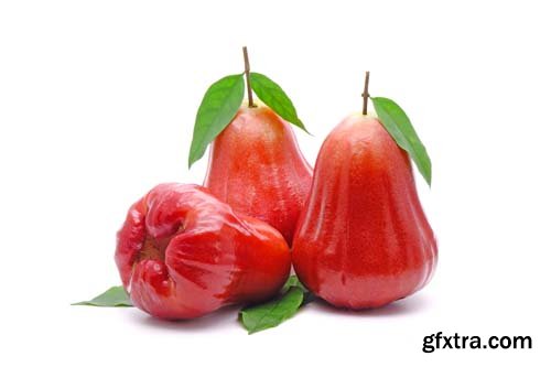 Photo - Rose Apple Or Bell Fruit With Green Leaves Isolated - 11xJPGs