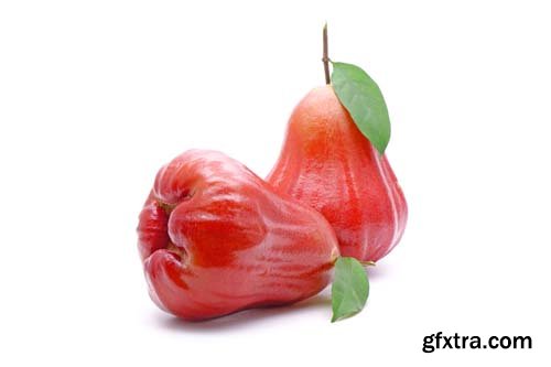 Photo - Rose Apple Or Bell Fruit With Green Leaves Isolated - 11xJPGs