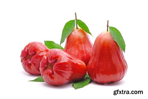 Photo - Rose Apple Or Bell Fruit With Green Leaves Isolated - 11xJPGs