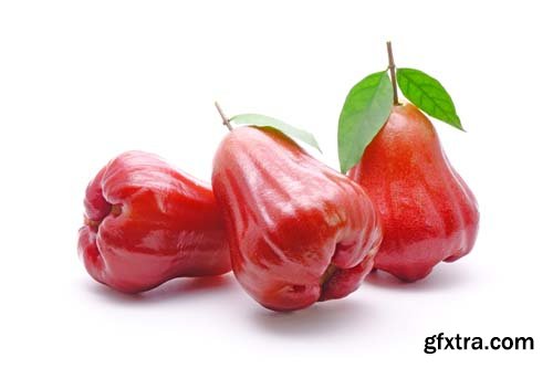 Photo - Rose Apple Or Bell Fruit With Green Leaves Isolated - 11xJPGs