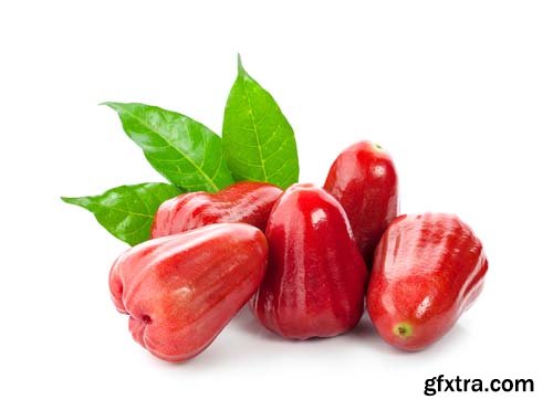 Photo - Rose Apple Or Bell Fruit With Green Leaves Isolated - 11xJPGs