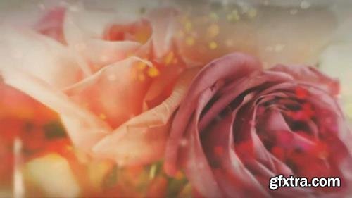 Lovely Slideshow After Effects Templates 23920