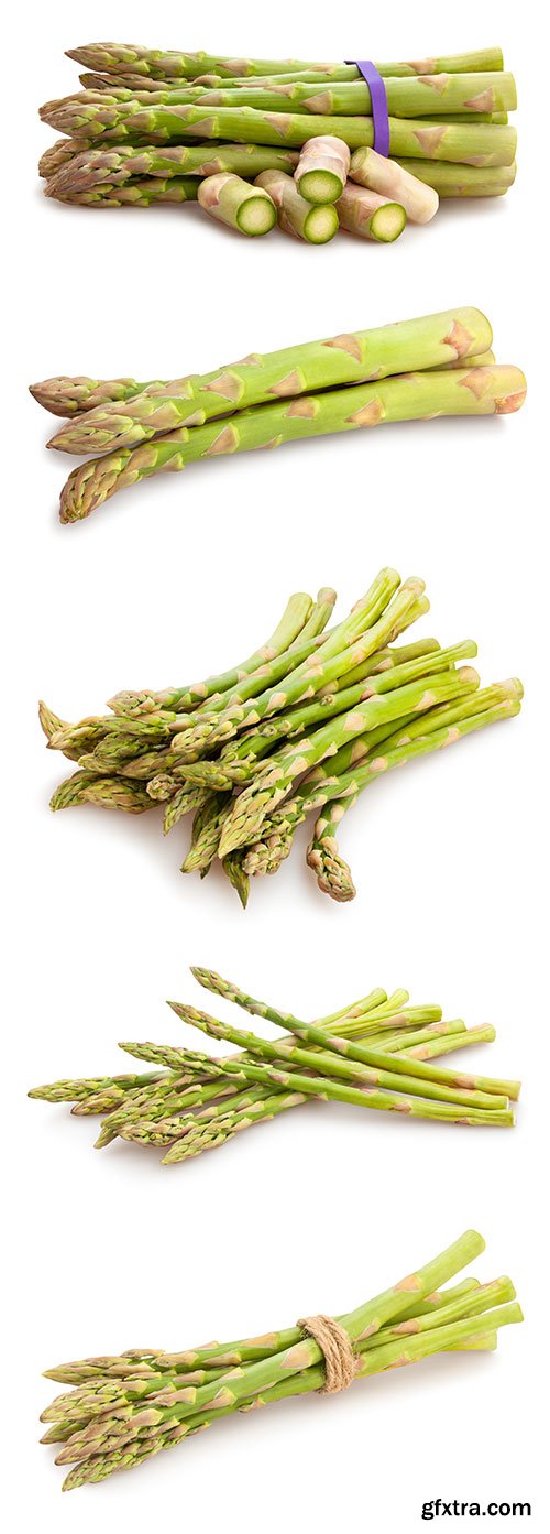 Photo - Asparagus Isolated - 9xJPGs