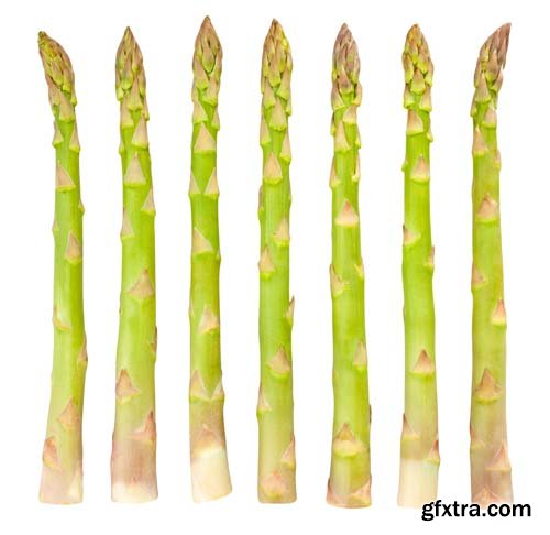 Photo - Asparagus Isolated - 9xJPGs