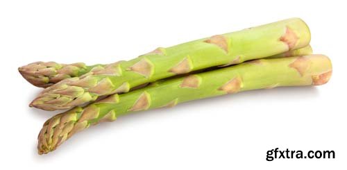 Photo - Asparagus Isolated - 9xJPGs