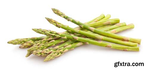 Photo - Asparagus Isolated - 9xJPGs