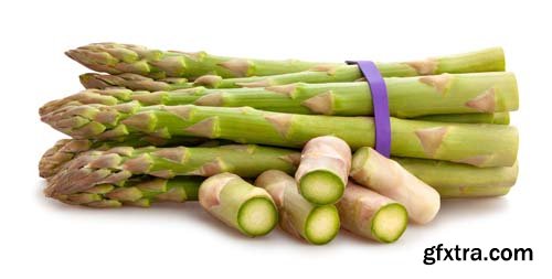 Photo - Asparagus Isolated - 9xJPGs