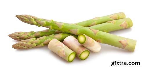 Photo - Asparagus Isolated - 9xJPGs