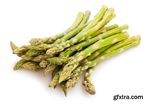 Photo - Asparagus Isolated - 9xJPGs