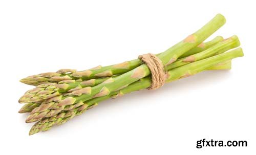 Photo - Asparagus Isolated - 9xJPGs