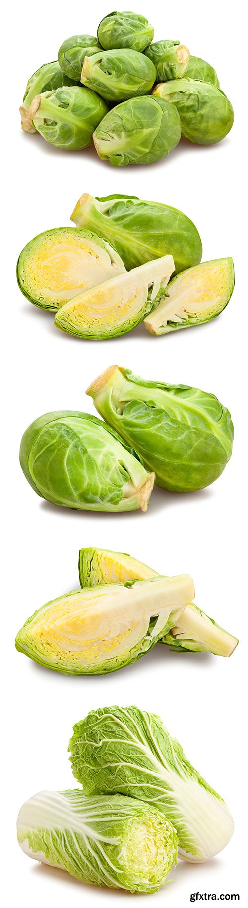 Photo - Brussels Sprouts Isolated - 10xJPGs