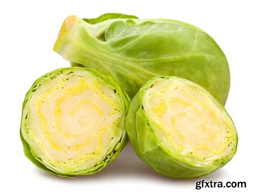 Photo - Brussels Sprouts Isolated - 10xJPGs