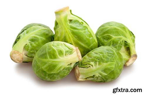 Photo - Brussels Sprouts Isolated - 10xJPGs