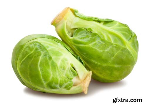 Photo - Brussels Sprouts Isolated - 10xJPGs