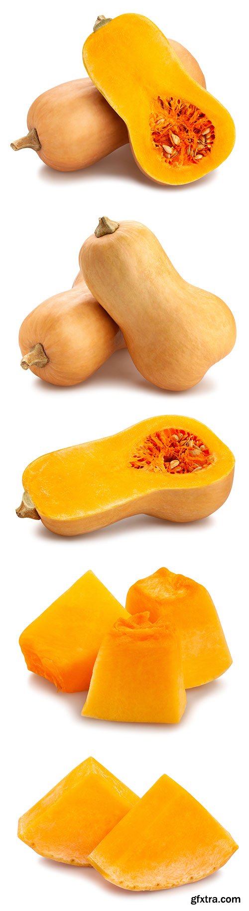 Photo - Butternut Squash Isolated - 7xJPGs -