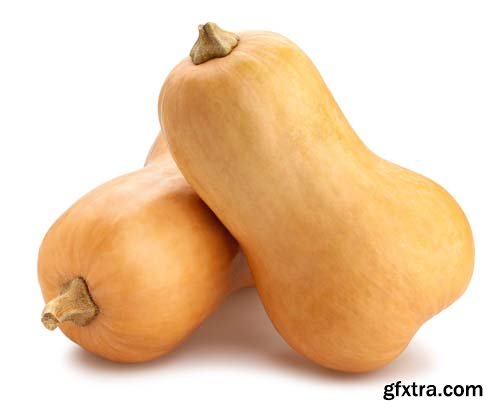 Photo - Butternut Squash Isolated - 7xJPGs -