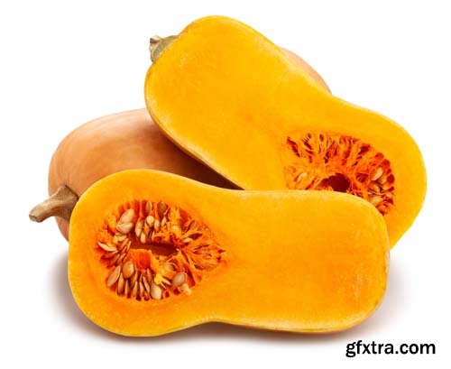 Photo - Butternut Squash Isolated - 7xJPGs -