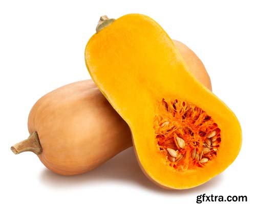 Photo - Butternut Squash Isolated - 7xJPGs -