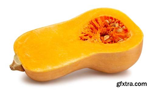 Photo - Butternut Squash Isolated - 7xJPGs -