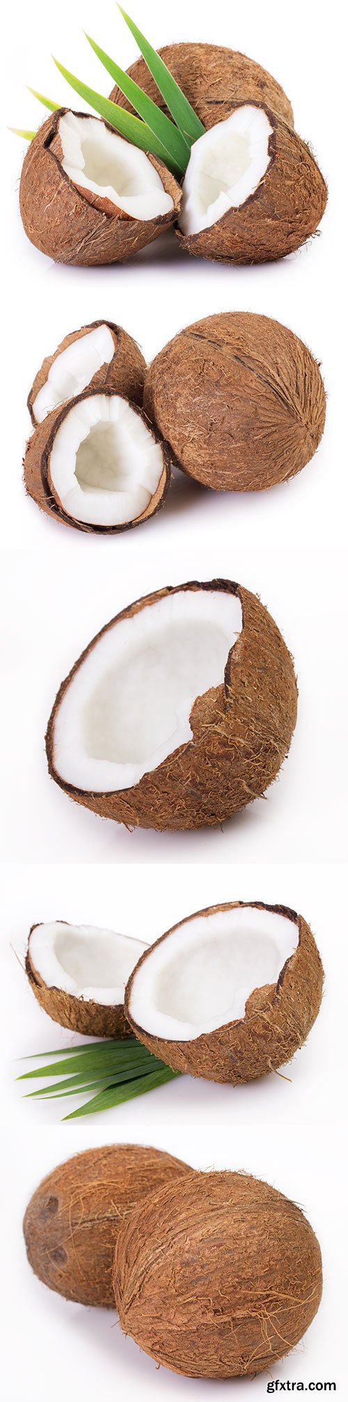 Photo - Coconut Isolated - 8xJPGs