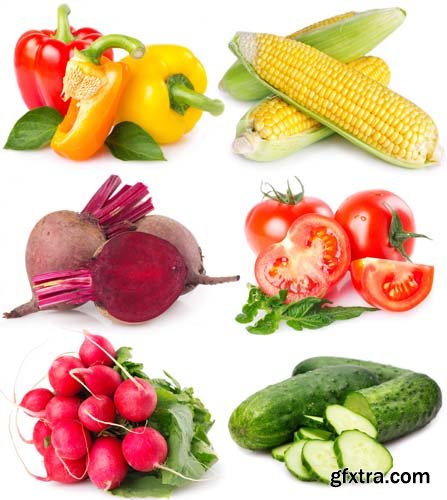 Photo - Colection Of Fresh Vegetables Isolated - 5xJPGS