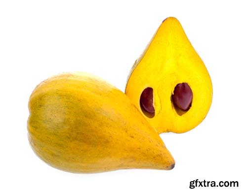 Photo - Egg Fruit Isolated - 10xJPGs