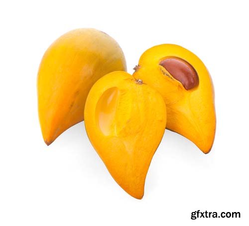 Photo - Egg Fruit Isolated - 10xJPGs