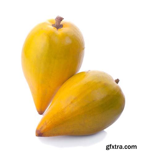 Photo - Egg Fruit Isolated - 10xJPGs