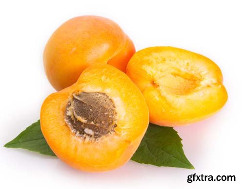 Photo - Fresh Apricot Isolated - 15xJPGs