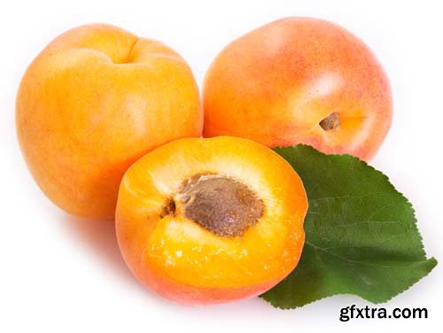 Photo - Fresh Apricot Isolated - 15xJPGs