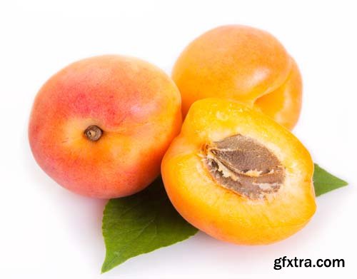 Photo - Fresh Apricot Isolated - 15xJPGs