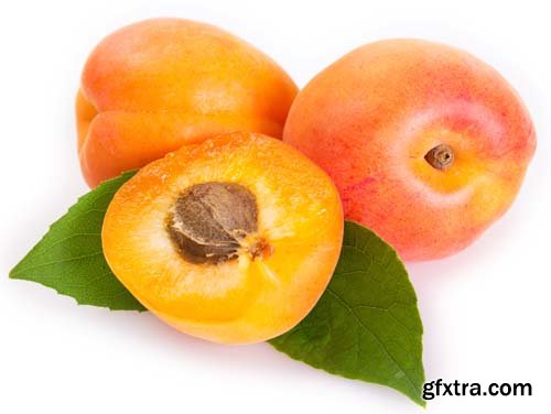 Photo - Fresh Apricot Isolated - 15xJPGs