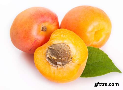 Photo - Fresh Apricot Isolated - 15xJPGs