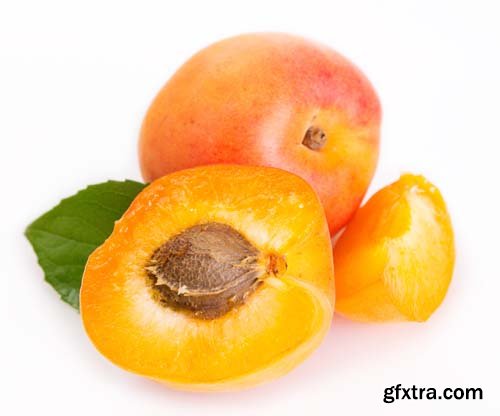 Photo - Fresh Apricot Isolated - 15xJPGs