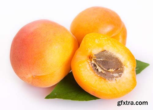 Photo - Fresh Apricot Isolated - 15xJPGs