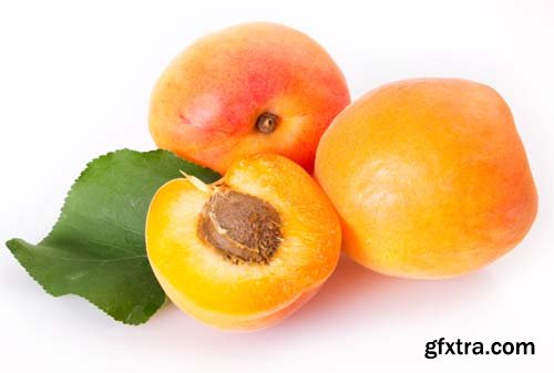 Photo - Fresh Apricot Isolated - 15xJPGs