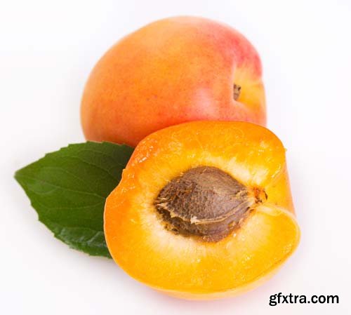 Photo - Fresh Apricot Isolated - 15xJPGs