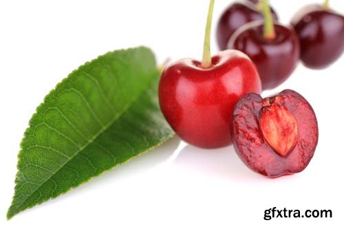 Photo - Fresh Cherries Isolated - 10xJPGs