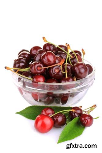 Photo - Fresh Cherries Isolated - 10xJPGs