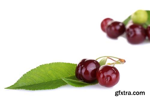 Photo - Fresh Cherries Isolated - 10xJPGs