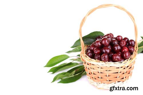 Photo - Fresh Cherries Isolated - 10xJPGs