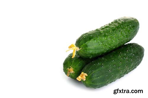 Photo - Fresh Cucumbers Isolated - 10xJPGs