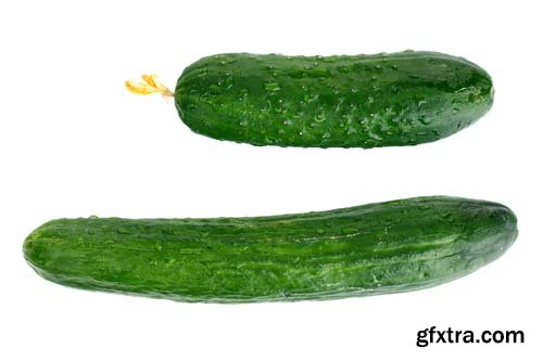 Photo - Fresh Cucumbers Isolated - 10xJPGs