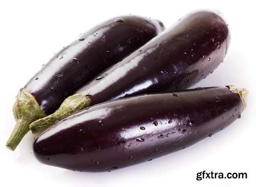 Photo - Fresh Eggplant Isolated - 5xJPGs