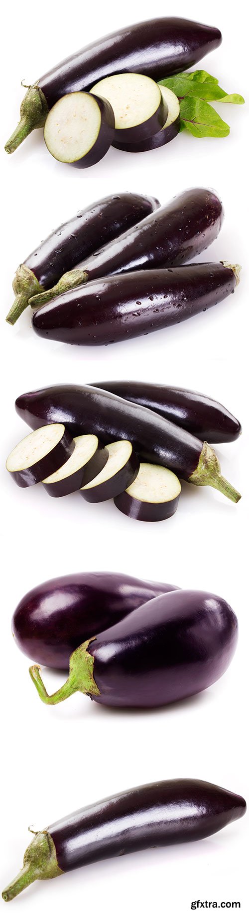 Photo - Fresh Eggplant Isolated - 5xJPGs