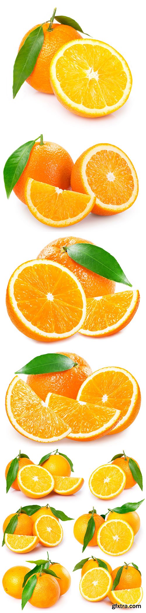 Fresh Orange Isolated - 10xJPGs