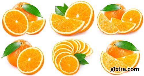 Fresh Orange Isolated - 10xJPGs