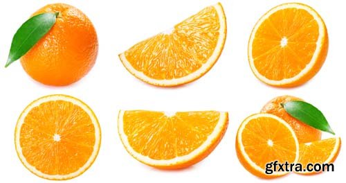 Fresh Orange Isolated - 10xJPGs