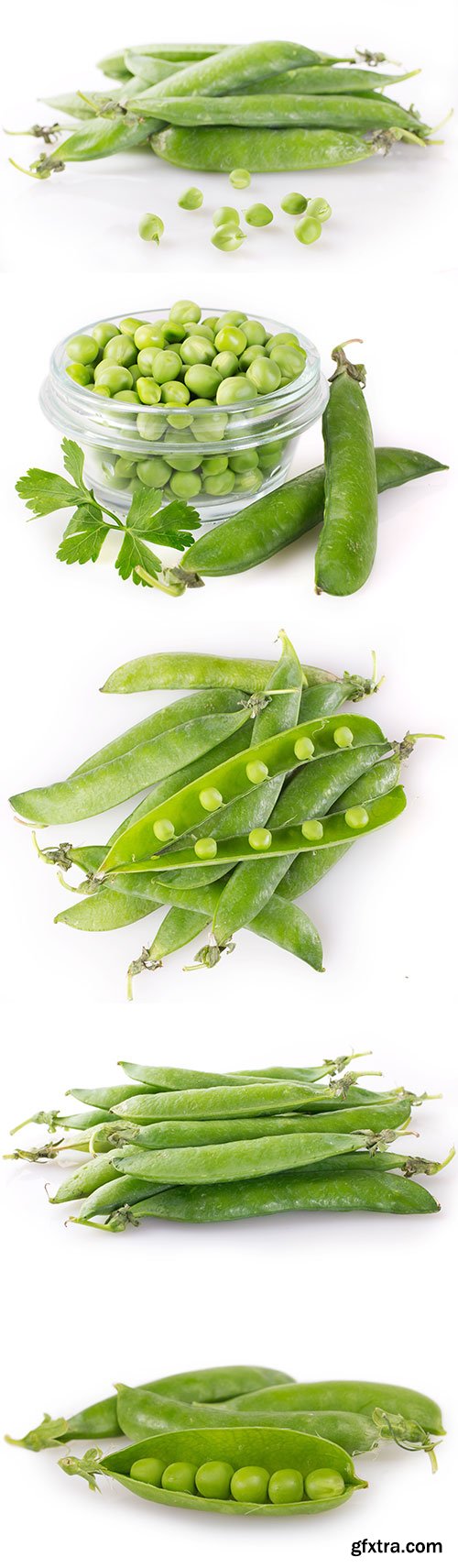 Fresh Pea Isolated - 6xJPGs