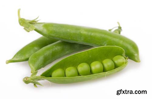 Fresh Pea Isolated - 6xJPGs